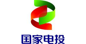 国家电投